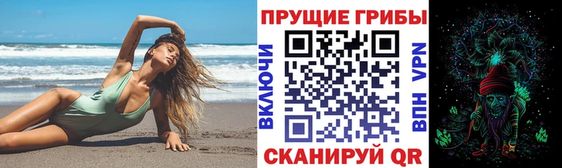 Купить где  Ишим  Псилоцибиновые грибы ЛСД 